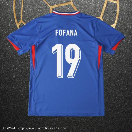 camiseta Camiseta Francia Jugador 2024