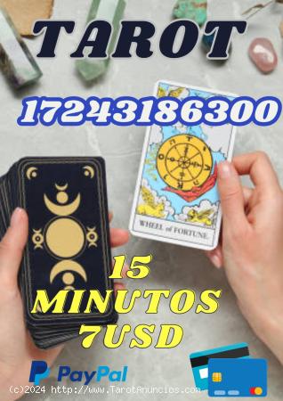 Tarot videncia económica las 24 horas.